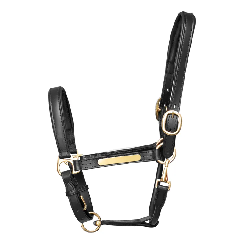 Hy Equestrian Leather Headcollar - Black/Rose Gold